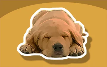 Sleepy Puppy