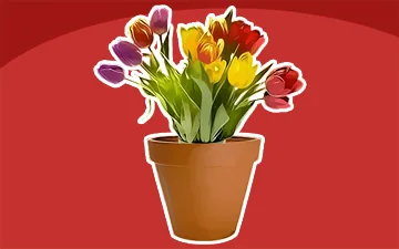 Flowers in Pot